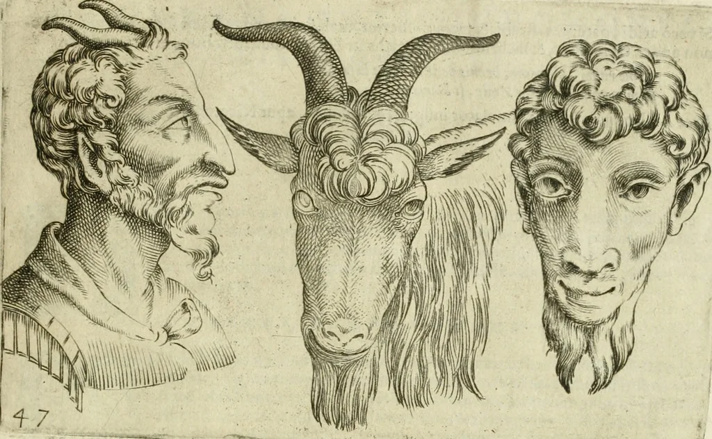 An illustration from Io. Batis. Portae Neap. De humana physiognomia li. VI : in quibus docetur quom[odo] animi propentes naturalibus remediis compesci possint, 1602, leaf 194