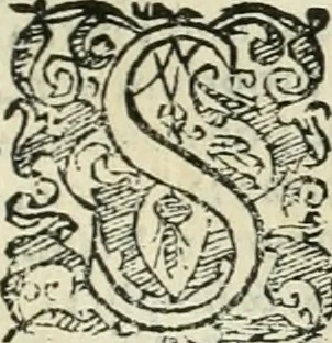 An illustration from Io. Batis. Portae Neap. De humana physiognomia li. VI : in quibus docetur quom[odo] animi propentes naturalibus remediis compesci possint, 1602, leaf 20