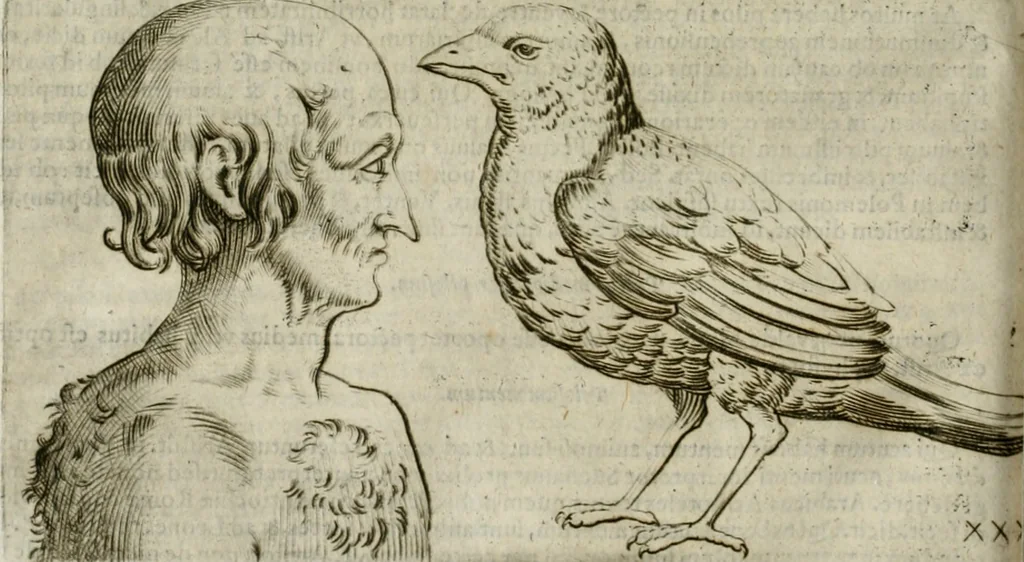 An illustration from Io. Batis. Portae Neap. De humana physiognomia li. VI : in quibus docetur quom[odo] animi propentes naturalibus remediis compesci possint, 1602, leaf 205