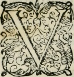 An illustration from Io. Batis. Portae Neap. De humana physiognomia li. VI : in quibus docetur quom[odo] animi propentes naturalibus remediis compesci possint, 1602, leaf 207