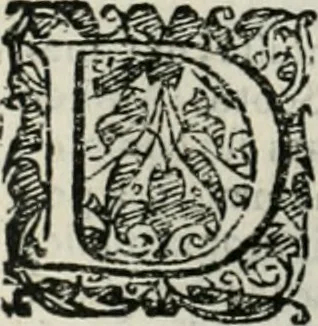 An illustration from Io. Batis. Portae Neap. De humana physiognomia li. VI : in quibus docetur quom[odo] animi propentes naturalibus remediis compesci possint, 1602, leaf 207