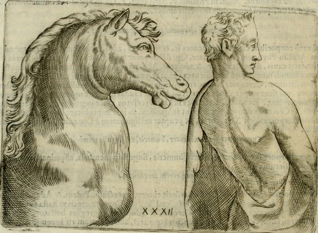 An illustration from Io. Batis. Portae Neap. De humana physiognomia li. VI : in quibus docetur quom[odo] animi propentes naturalibus remediis compesci possint, 1602, leaf 211