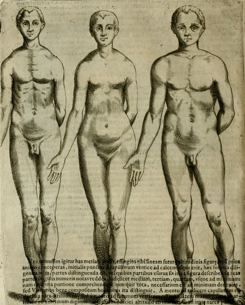 An illustration from Io. Batis. Portae Neap. De humana physiognomia li. VI : in quibus docetur quom[odo] animi propentes naturalibus remediis compesci possint, 1602, leaf 213