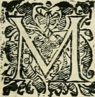 An illustration from Io. Batis. Portae Neap. De humana physiognomia li. VI : in quibus docetur quom[odo] animi propentes naturalibus remediis compesci possint, 1602, leaf 218