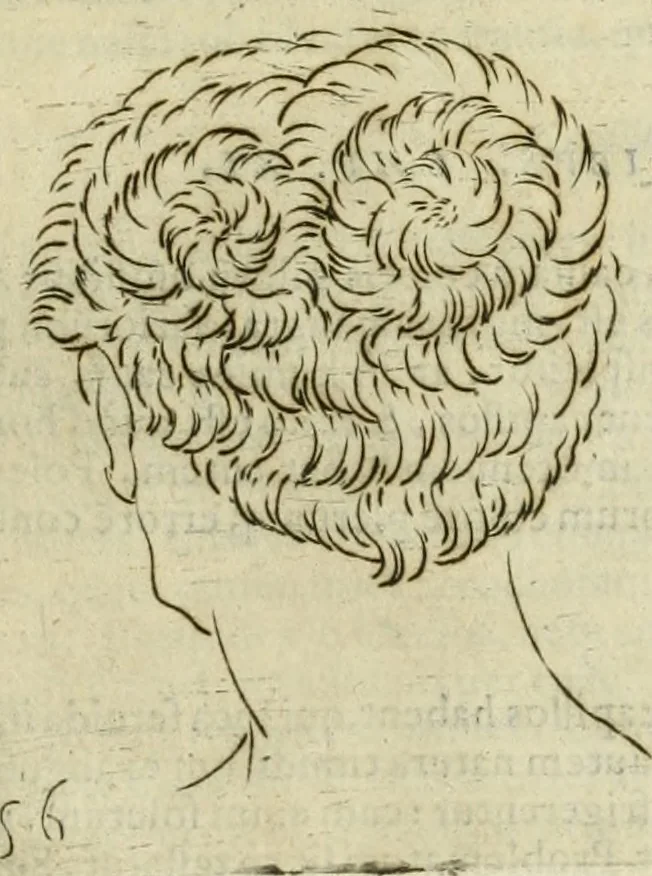 An illustration from Io. Batis. Portae Neap. De humana physiognomia li. VI : in quibus docetur quom[odo] animi propentes naturalibus remediis compesci possint, 1602, leaf 228