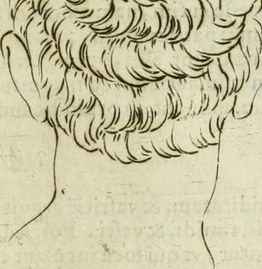 An illustration from Io. Batis. Portae Neap. De humana physiognomia li. VI : in quibus docetur quom[odo] animi propentes naturalibus remediis compesci possint, 1602, leaf 228