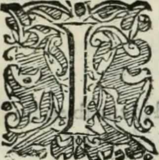 An illustration from Io. Batis. Portae Neap. De humana physiognomia li. VI : in quibus docetur quom[odo] animi propentes naturalibus remediis compesci possint, 1602, leaf 233