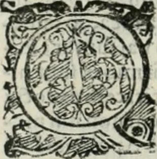 An illustration from Io. Batis. Portae Neap. De humana physiognomia li. VI : in quibus docetur quom[odo] animi propentes naturalibus remediis compesci possint, 1602, leaf 233