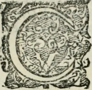 An illustration from Io. Batis. Portae Neap. De humana physiognomia li. VI : in quibus docetur quom[odo] animi propentes naturalibus remediis compesci possint, 1602, leaf 237
