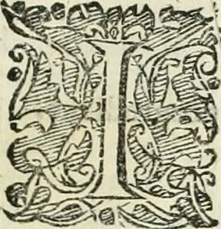 An illustration from Io. Batis. Portae Neap. De humana physiognomia li. VI : in quibus docetur quom[odo] animi propentes naturalibus remediis compesci possint, 1602, leaf 238