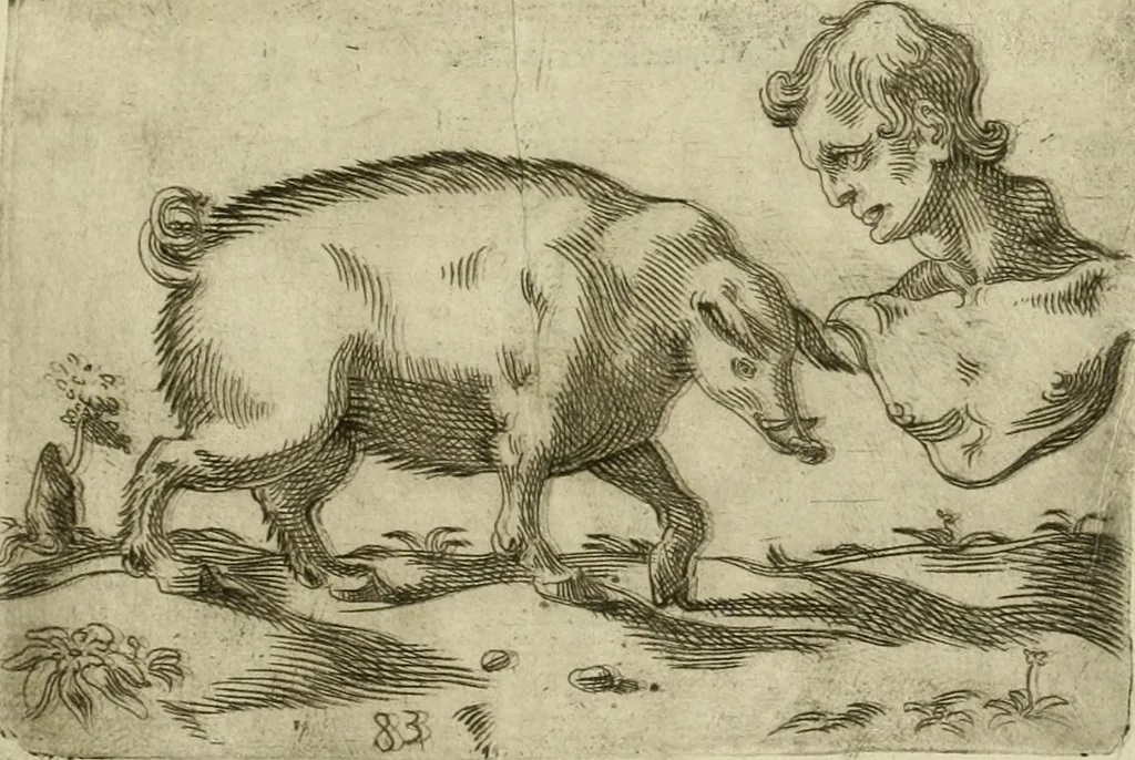 An illustration from Io. Batis. Portae Neap. De humana physiognomia li. VI : in quibus docetur quom[odo] animi propentes naturalibus remediis compesci possint, 1602, leaf 24