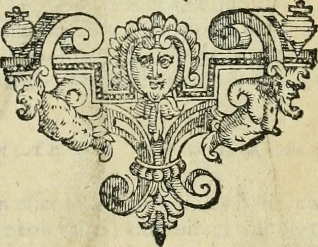 An illustration from Io. Batis. Portae Neap. De humana physiognomia li. VI : in quibus docetur quom[odo] animi propentes naturalibus remediis compesci possint, 1602, leaf 242