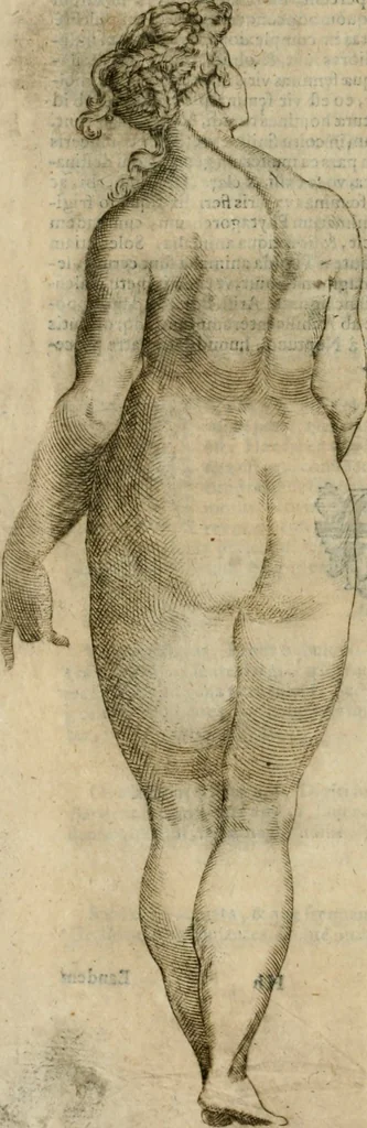 An illustration from Io. Batis. Portae Neap. De humana physiognomia li. VI : in quibus docetur quom[odo] animi propentes naturalibus remediis compesci possint, 1602, leaf 243