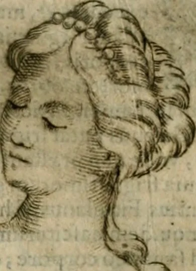 An illustration from Io. Batis. Portae Neap. De humana physiognomia li. VI : in quibus docetur quom[odo] animi propentes naturalibus remediis compesci possint, 1602, leaf 243