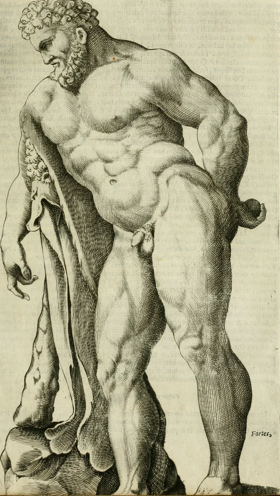 An illustration from Io. Batis. Portae Neap. De humana physiognomia li. VI : in quibus docetur quom[odo] animi propentes naturalibus remediis compesci possint, 1602, leaf 246
