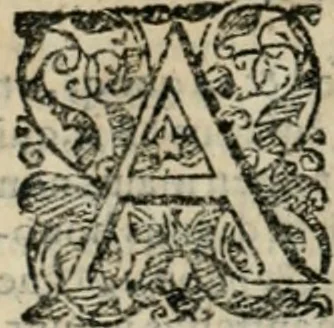 An illustration from Io. Batis. Portae Neap. De humana physiognomia li. VI : in quibus docetur quom[odo] animi propentes naturalibus remediis compesci possint, 1602, leaf 249