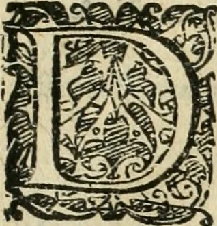 An illustration from Io. Batis. Portae Neap. De humana physiognomia li. VI : in quibus docetur quom[odo] animi propentes naturalibus remediis compesci possint, 1602, leaf 250
