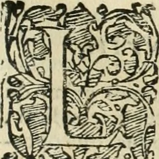 An illustration from Io. Batis. Portae Neap. De humana physiognomia li. VI : in quibus docetur quom[odo] animi propentes naturalibus remediis compesci possint, 1602, leaf 250