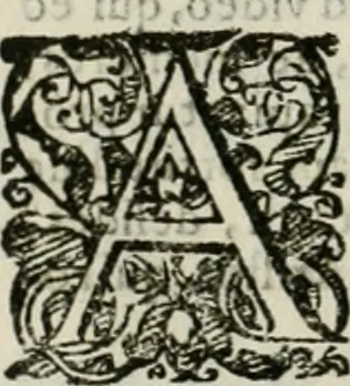 An illustration from Io. Batis. Portae Neap. De humana physiognomia li. VI : in quibus docetur quom[odo] animi propentes naturalibus remediis compesci possint, 1602, leaf 253