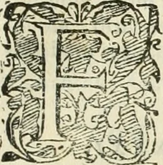An illustration from Io. Batis. Portae Neap. De humana physiognomia li. VI : in quibus docetur quom[odo] animi propentes naturalibus remediis compesci possint, 1602, leaf 260
