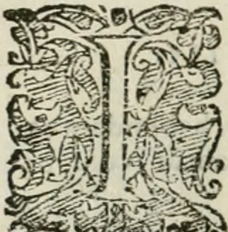 An illustration from Io. Batis. Portae Neap. De humana physiognomia li. VI : in quibus docetur quom[odo] animi propentes naturalibus remediis compesci possint, 1602, leaf 263