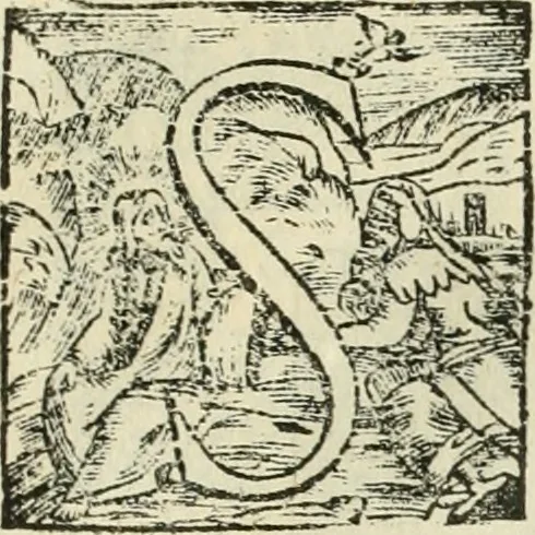 An illustration from Io. Batis. Portae Neap. De humana physiognomia li. VI : in quibus docetur quom[odo] animi propentes naturalibus remediis compesci possint, 1602, leaf 264