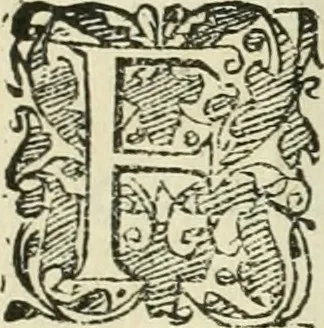 An illustration from Io. Batis. Portae Neap. De humana physiognomia li. VI : in quibus docetur quom[odo] animi propentes naturalibus remediis compesci possint, 1602, leaf 264