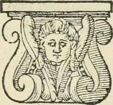 An illustration from Io. Batis. Portae Neap. De humana physiognomia li. VI : in quibus docetur quom[odo] animi propentes naturalibus remediis compesci possint, 1602, leaf 264