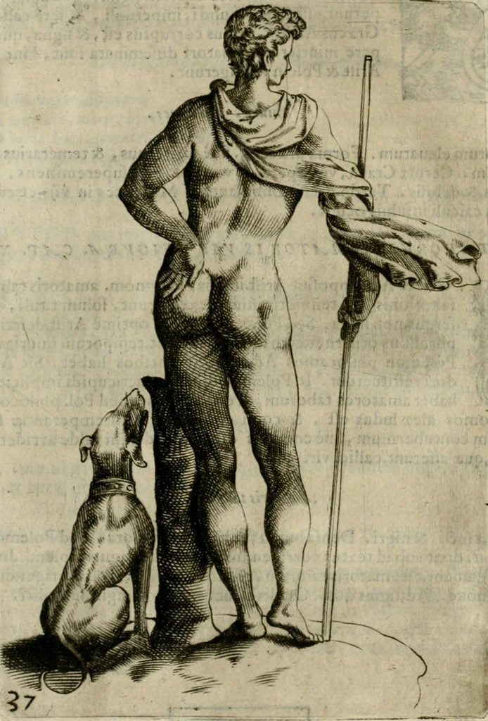 An illustration from Io. Batis. Portae Neap. De humana physiognomia li. VI : in quibus docetur quom[odo] animi propentes naturalibus remediis compesci possint, 1602, leaf 265