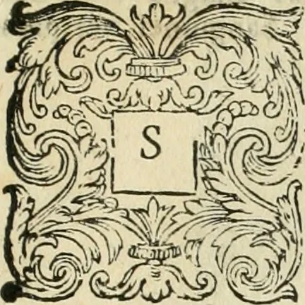 An illustration from Io. Batis. Portae Neap. De humana physiognomia li. VI : in quibus docetur quom[odo] animi propentes naturalibus remediis compesci possint, 1602, leaf 266