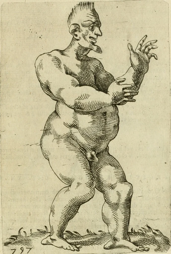 An illustration from Io. Batis. Portae Neap. De humana physiognomia li. VI : in quibus docetur quom[odo] animi propentes naturalibus remediis compesci possint, 1602, leaf 268