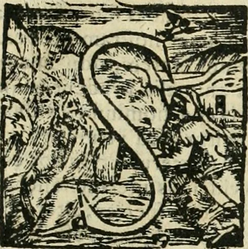 An illustration from Io. Batis. Portae Neap. De humana physiognomia li. VI : in quibus docetur quom[odo] animi propentes naturalibus remediis compesci possint, 1602, leaf 272