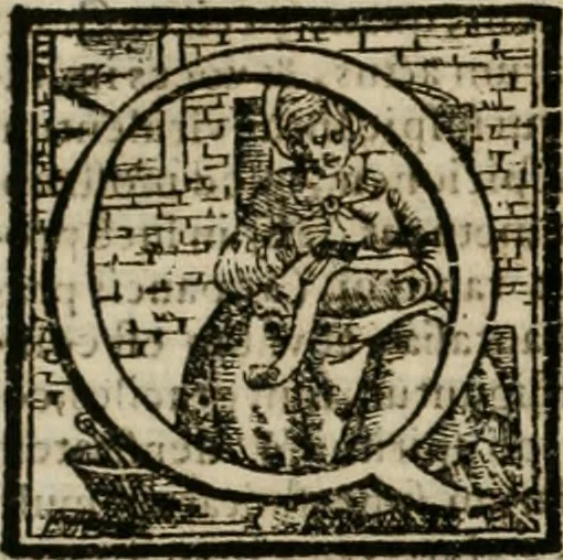 An illustration from Io. Batis. Portae Neap. De humana physiognomia li. VI : in quibus docetur quom[odo] animi propentes naturalibus remediis compesci possint, 1602, leaf 277