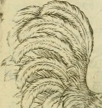 An illustration from Io. Batis. Portae Neap. De humana physiognomia li. VI : in quibus docetur quom[odo] animi propentes naturalibus remediis compesci possint, 1602, leaf 28