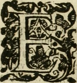 An illustration from Io. Batis. Portae Neap. De humana physiognomia li. VI : in quibus docetur quom[odo] animi propentes naturalibus remediis compesci possint, 1602, leaf 280
