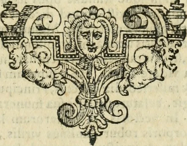 An illustration from Io. Batis. Portae Neap. De humana physiognomia li. VI : in quibus docetur quom[odo] animi propentes naturalibus remediis compesci possint, 1602, leaf 286
