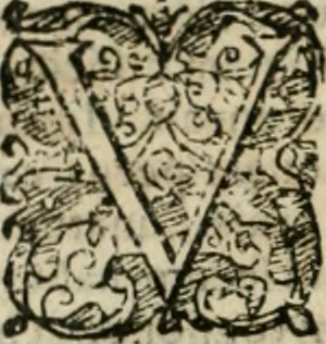 An illustration from Io. Batis. Portae Neap. De humana physiognomia li. VI : in quibus docetur quom[odo] animi propentes naturalibus remediis compesci possint, 1602, leaf 287