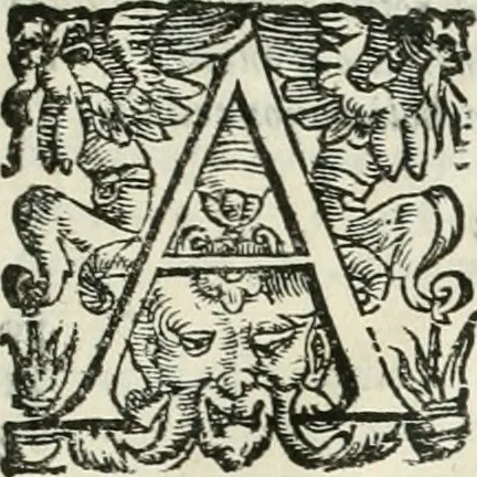 An illustration from Io. Batis. Portae Neap. De humana physiognomia li. VI : in quibus docetur quom[odo] animi propentes naturalibus remediis compesci possint, 1602, leaf 290