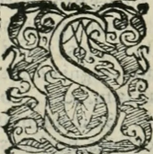 An illustration from Io. Batis. Portae Neap. De humana physiognomia li. VI : in quibus docetur quom[odo] animi propentes naturalibus remediis compesci possint, 1602, leaf 31