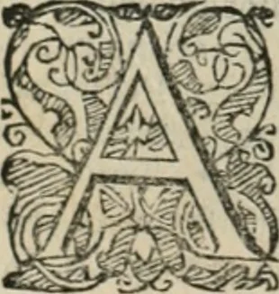 An illustration from Io. Batis. Portae Neap. De humana physiognomia li. VI : in quibus docetur quom[odo] animi propentes naturalibus remediis compesci possint, 1602, leaf 33
