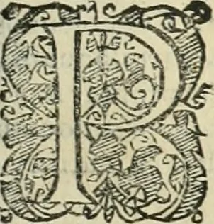 An illustration from Io. Batis. Portae Neap. De humana physiognomia li. VI : in quibus docetur quom[odo] animi propentes naturalibus remediis compesci possint, 1602, leaf 36