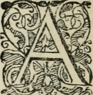 An illustration from Io. Batis. Portae Neap. De humana physiognomia li. VI : in quibus docetur quom[odo] animi propentes naturalibus remediis compesci possint, 1602, leaf 37
