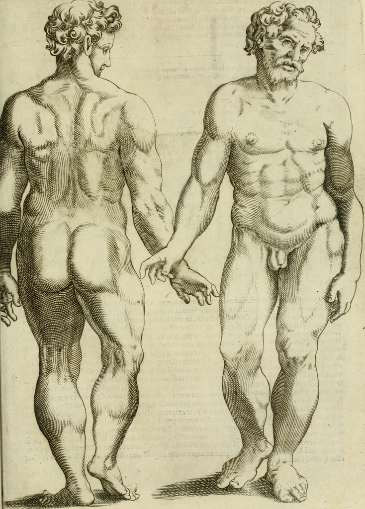 An illustration from Io. Batis. Portae Neap. De humana physiognomia li. VI : in quibus docetur quom[odo] animi propentes naturalibus remediis compesci possint, 1602, leaf 38