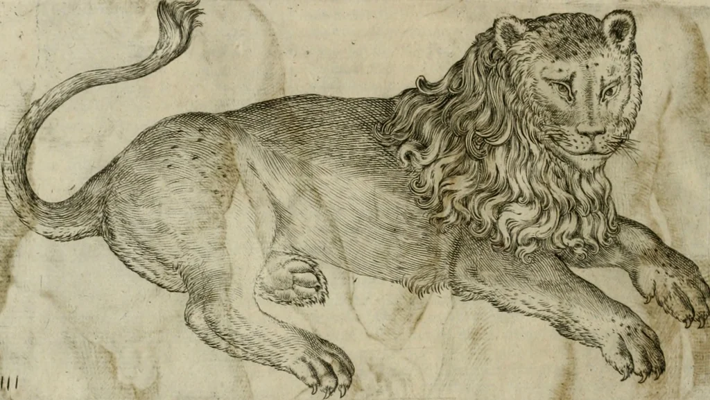 An illustration from Io. Batis. Portae Neap. De humana physiognomia li. VI : in quibus docetur quom[odo] animi propentes naturalibus remediis compesci possint, 1602, leaf 39