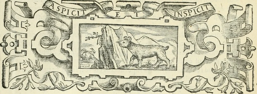 An illustration from Io. Batis. Portae Neap. De humana physiognomia li. VI : in quibus docetur quom[odo] animi propentes naturalibus remediis compesci possint, 1602, leaf 4