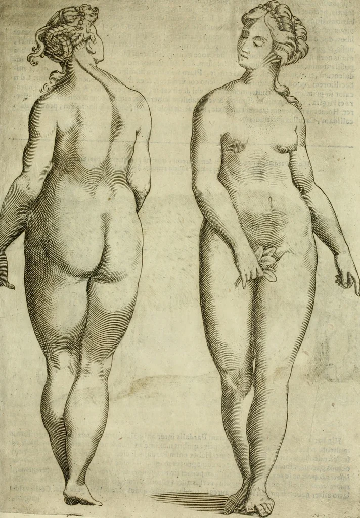 An illustration from Io. Batis. Portae Neap. De humana physiognomia li. VI : in quibus docetur quom[odo] animi propentes naturalibus remediis compesci possint, 1602, leaf 40