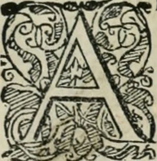 An illustration from Io. Batis. Portae Neap. De humana physiognomia li. VI : in quibus docetur quom[odo] animi propentes naturalibus remediis compesci possint, 1602, leaf 43