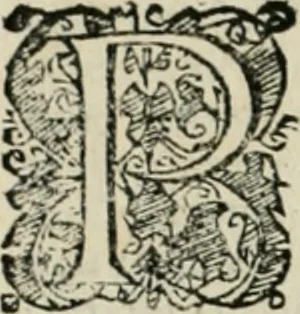 An illustration from Io. Batis. Portae Neap. De humana physiognomia li. VI : in quibus docetur quom[odo] animi propentes naturalibus remediis compesci possint, 1602, leaf 45