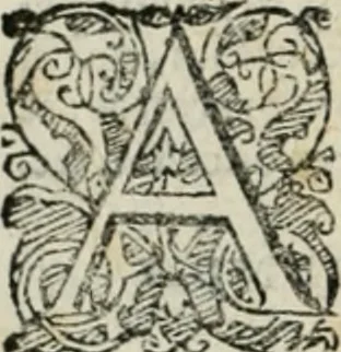 An illustration from Io. Batis. Portae Neap. De humana physiognomia li. VI : in quibus docetur quom[odo] animi propentes naturalibus remediis compesci possint, 1602, leaf 47