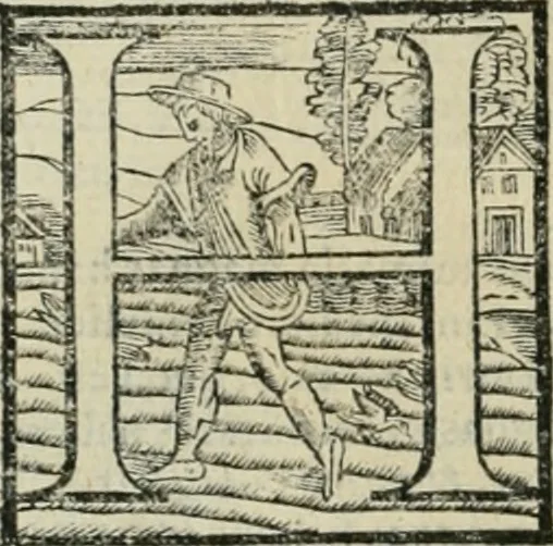 An illustration from Io. Batis. Portae Neap. De humana physiognomia li. VI : in quibus docetur quom[odo] animi propentes naturalibus remediis compesci possint, 1602, leaf 49